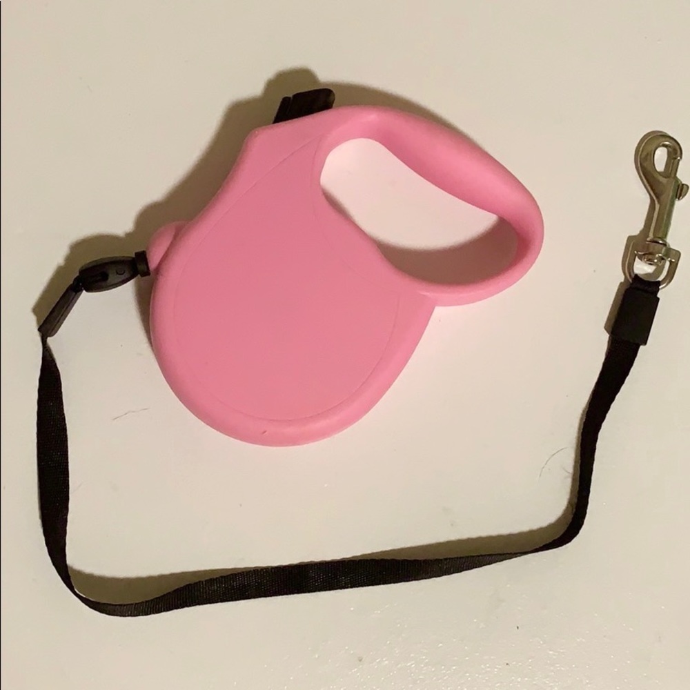 Dog Leash